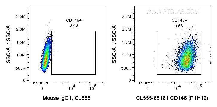 Flow cytometry (FC) experiment of A375 cells using CoraLite® Plus 555 Anti-Human CD146 (P1H12) (CL555-65181)