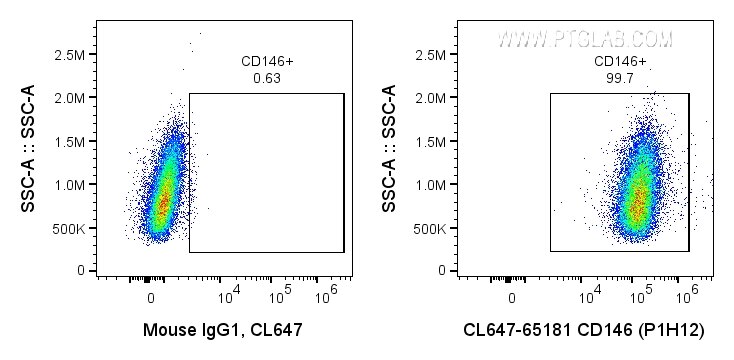 Flow cytometry (FC) experiment of A375 cells using CoraLite® Plus 647 Anti-Human CD146 (P1H12) (CL647-65181)