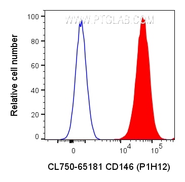 Flow cytometry (FC) experiment of A375 cells using CoraLite® Plus 750 Anti-Human CD146 (P1H12) (CL750-65181)