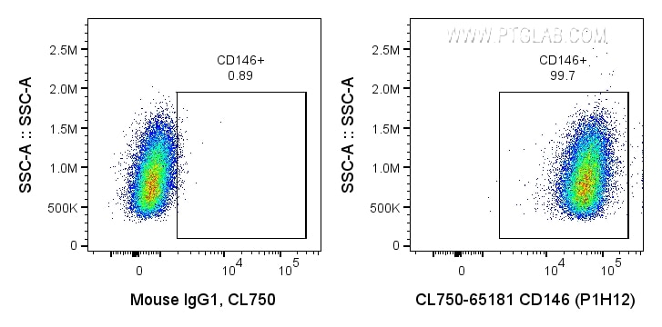 Flow cytometry (FC) experiment of A375 cells using CoraLite® Plus 750 Anti-Human CD146 (P1H12) (CL750-65181)