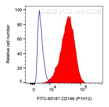 Flow cytometry (FC) experiment of A375 cells using FITC Plus Anti-Human CD146 (P1H12) (FITC-65181)