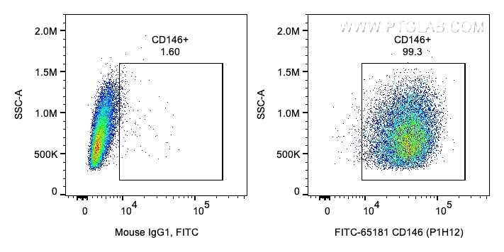 FC experiment of A375 using FITC-65181