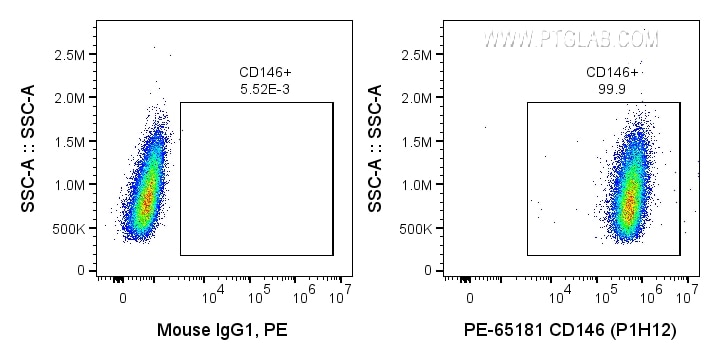 Flow cytometry (FC) experiment of A375 cells using PE Anti-Human CD146 (P1H12) (PE-65181)