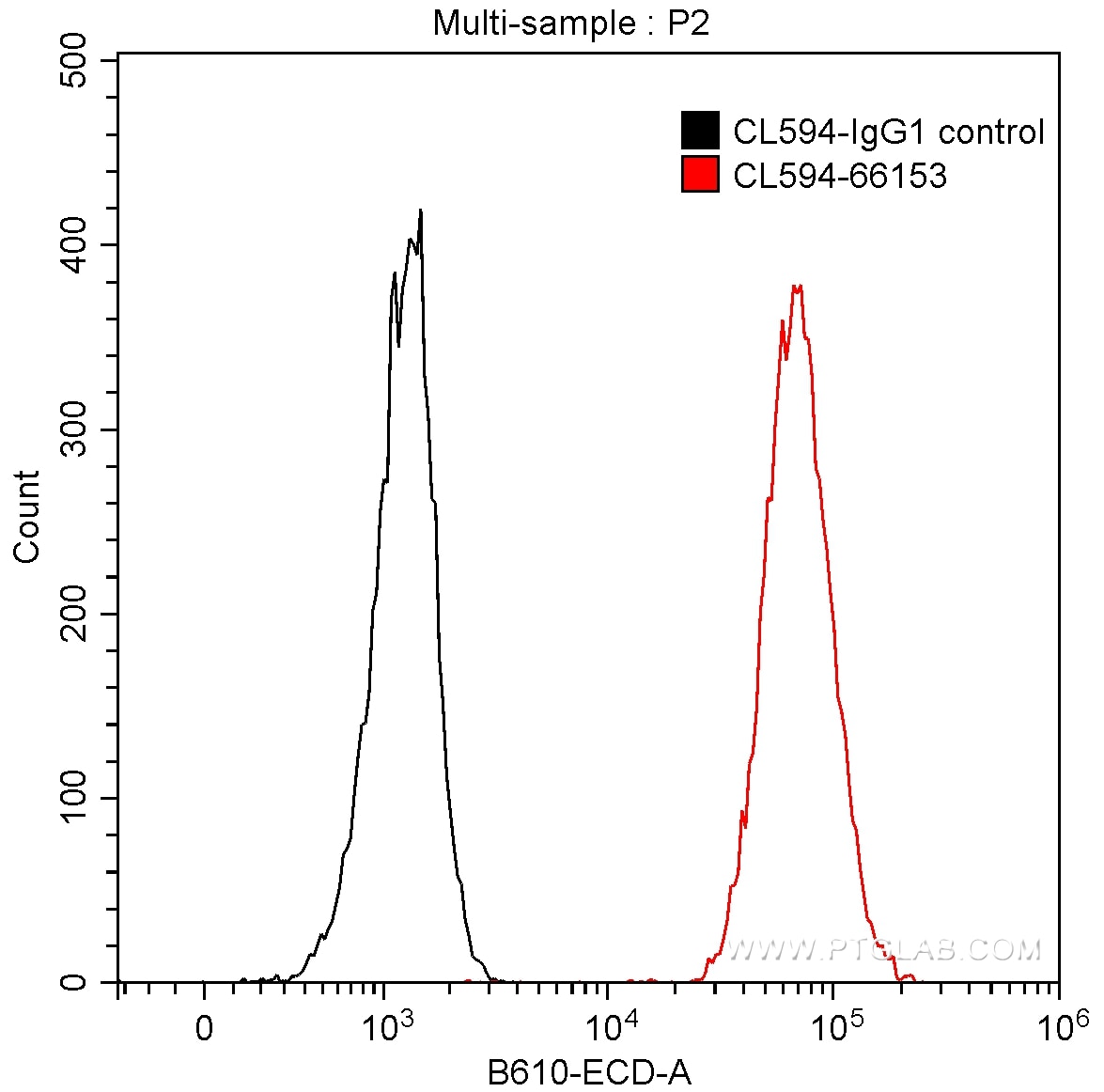 CD146/MCAM