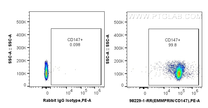 1x10^6 mouse thymocytes were surface stained with 0.25 ug Anti-Mouse CD147 Rabbit RecAb (98229-1-RR, Clone: 241852B4) or 0.25 ug Rabbit IgG Isotype Control RecAb (98136-1-RR, Clone: 240953C9), and PE-Conjugated Goat Anti-Rabbit IgG(H+L). Cells were incubated with FC Receptor Block prior to staining. Cells were not fixed. Flow cytometry (FC) experiment of mouse thymocytes using Anti-Mouse CD147 Rabbit Recombinant Antibody (98229-1-RR)