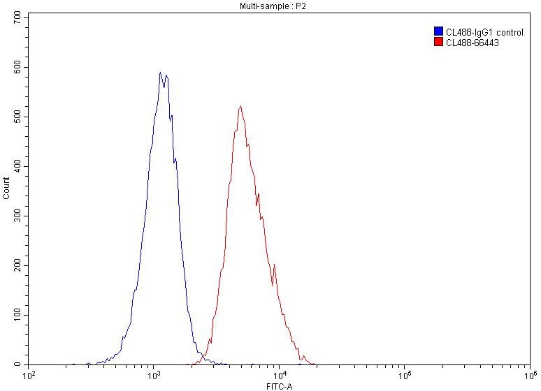 Flow cytometry (FC) experiment of Jurkat cells using CoraLite® Plus 488-conjugated CD147 Monoclonal ant (CL488-66443)
