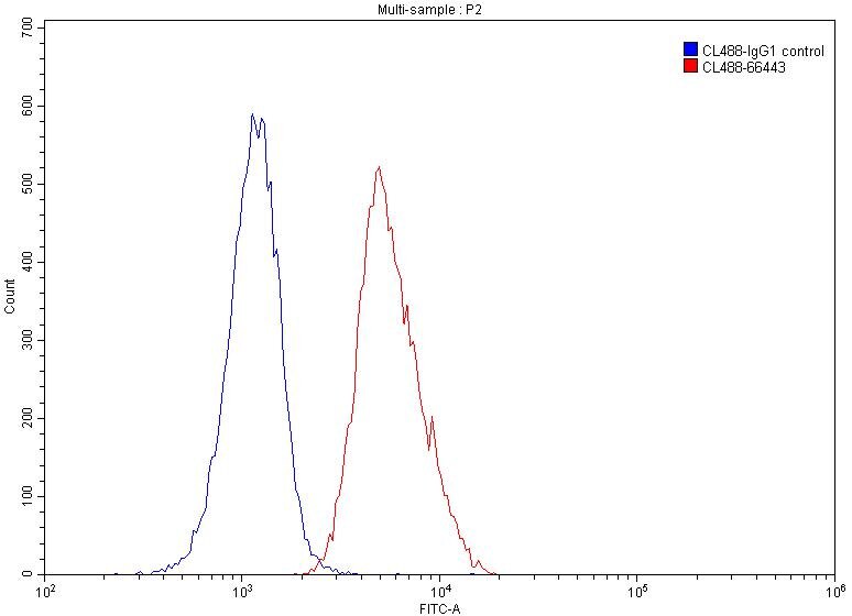 FC experiment of Jurkat using CL488-66443