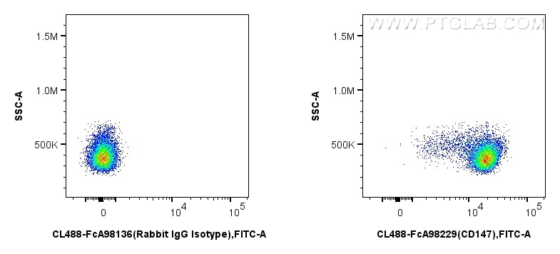 FC experiment of mouse thymocytes using CL488-FcA98229 Flow cytometry (FC) experiment of mouse thymocytes using FcZero-rAb™ CoraLite® Plus 488 Anti-Mouse CD147 Ra (CL488-FcA98229)
