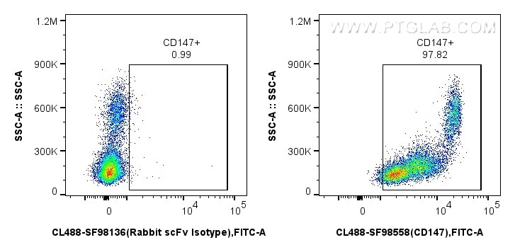 Flow cytometry (FC) experiment of human PBMCs using CoraLite® Plus 488 Anti-Human CD147 Rabbit scFv An (CL488-SF98558)