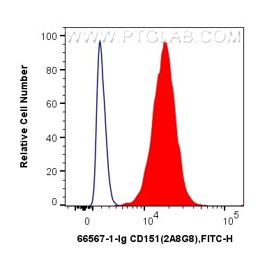 Flow cytometry (FC) experiment of A549 cells using CD151 Monoclonal antibody (66567-1-Ig)