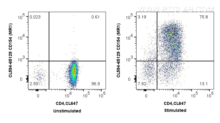 Flow cytometry (FC) experiment of BALB/c mouse CD4+ T cells using CoraLite®594 Anti-Mouse CD154 (MR1) (CL594-65129)