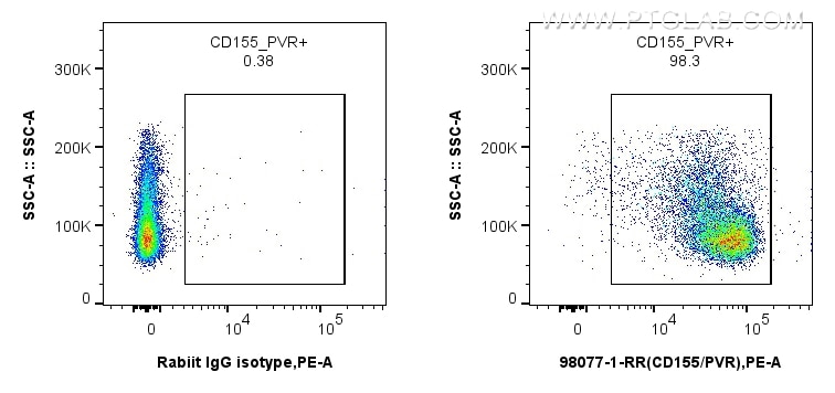 Flow cytometry (FC) experiment of mouse thymocytes using Anti-Mouse CD155/PVR Rabbit Recombinant Antibody (98077-1-RR)