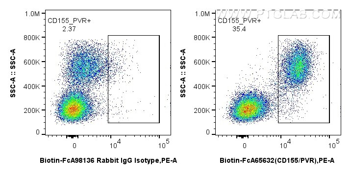 1x10^6 human PBMCs were surface stained with 0.25 ug Biotin Anti-Human CD155/PVR (SKII.4) Rabbit IgG RecAb (Biotin-FcA65632, Clone: SKII.4) or FcZero-rAb™ Biotin Rabbit IgG Isotype Control Recombinant Antibody (Biotin-FcA98136, Clone: 240953C9), and Streptavidin-PE Conjugate (PE-PF00030) (red). Cells were not fixed. Flow cytometry (FC) experiment of human PBMCs using FcZero-rAb™ Biotin Anti-Human CD155/PVR (SKII.4) R (Biotin-FcA65632)