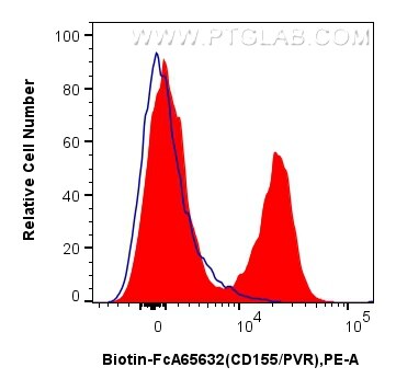 1x10^6 human PBMCs were surface stained with 0.25 ug Biotin Anti-Human CD155/PVR (SKII.4) Rabbit IgG RecAb (Biotin-FcA65632, Clone: SKII.4) (red) or FcZero-rAb™ Biotin Rabbit IgG Isotype Control Recombinant Antibody (Biotin-FcA98136, Clone: 240953C9) (blue), and Streptavidin-PE Conjugate (PE-PF00030). Cells were not fixed. Flow cytometry (FC) experiment of human PBMCs using FcZero-rAb™ Biotin Anti-Human CD155/PVR (SKII.4) R (Biotin-FcA65632)