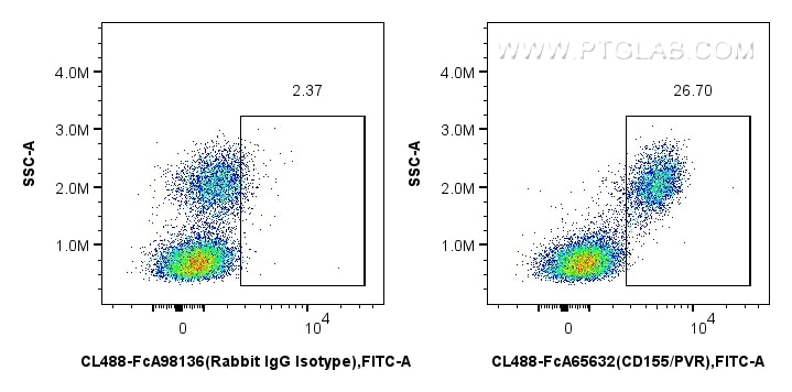 Flow cytometry (FC) experiment of human PBMCs using FcZero-rAb® CoraLite® Plus 488 Anti-Human CD155/PV (CL488-FcA65632)