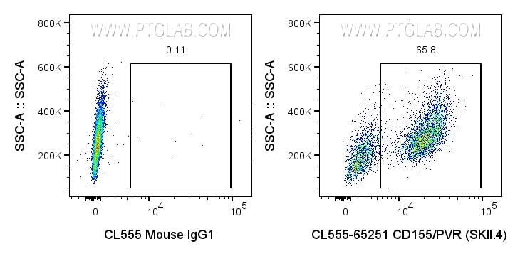Flow cytometry (FC) experiment of U-937 cells using CoraLite® Plus 555 Anti-Human CD155/PVR (SKII.4) (CL555-65251)