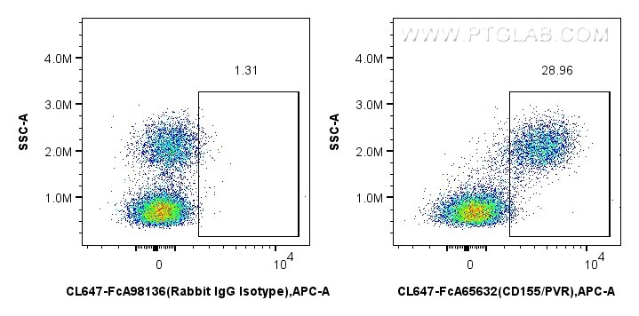 FC experiment of human PBMCs using CL647-FcA65632 Flow cytometry (FC) experiment of human PBMCs using FcZero-rAb® CoraLite® Plus 647 Anti-Human CD155/PV (CL647-FcA65632)