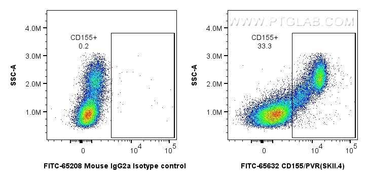 Flow cytometry (FC) experiment of human PBMCs using FITC Plus Anti-Human CD155/PVR (SKII.4) Mouse IgG2 (FITC-65632)