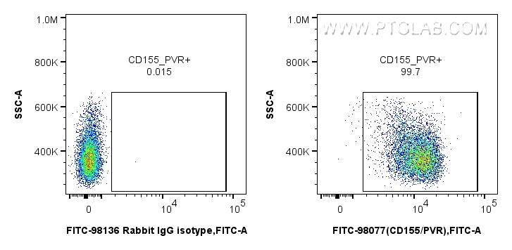 Flow cytometry (FC) experiment of mouse thymocytes using FITC Plus Anti-Mouse CD155/PVR Rabbit Recombinant  (FITC-98077)