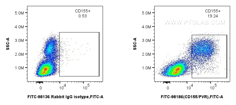 Flow cytometry (FC) experiment of human PBMCs using FITC Plus Anti-Human CD155/PVR Rabbit Recombinant  (FITC-98186)
