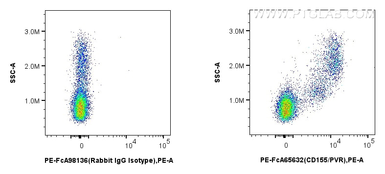 Flow cytometry (FC) experiment of human PBMCs using FcZero-rAb™ PE Anti-Human CD155/PVR (SKII.4) Rabbi (PE-FcA65632)