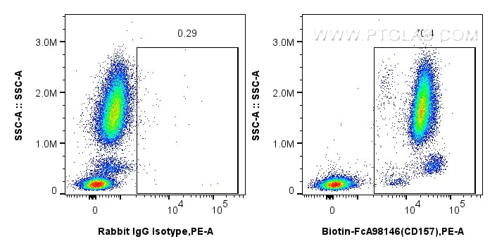 Flow cytometry (FC) experiment of human peripheral blood leukocytes using FcZero-rAb® Biotin Anti-Human CD157 Rabbit Recombi (Biotin-FcA98146)