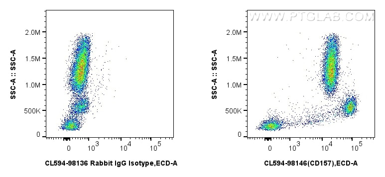 1x10^6 FC receptor blocked human peripheral blood leukocytes were surface stained with 5 ul CoraLite®594 Anti-Human CD157 Rabbit RecAb (CL594-98146, Clone: 241424H5) or CoraLite®594 Rabbit IgG Isotype Control RecAb (CL594-98136, Clone: 240953C9). Cells were not fixed. Flow cytometry (FC) experiment of human peripheral blood leukocytes using CoraLite®594 Anti-Human CD157 Rabbit Recombinant A (CL594-98146)