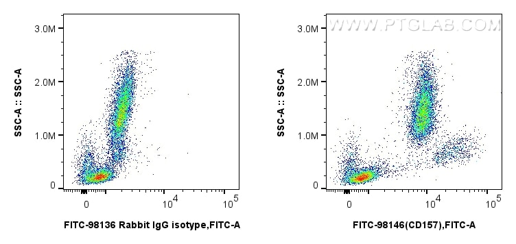 Flow cytometry (FC) experiment of human peripheral blood leukocytes using FITC Plus Anti-Human CD157 Rabbit Recombinant Anti (FITC-98146)
