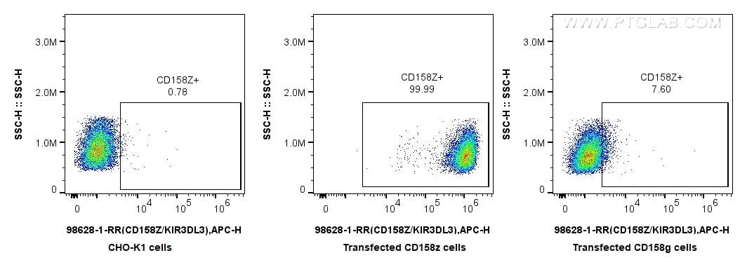 1x10^6 Transfected CHO-K1 or Transfected CD158z or Transfected CD158g were surface stained with 0.25 ug Anti-Human CD158Z/KIR3DL3 Rabbit RecAb (98628-1-RR, Clone:250254F12) and APC-Conjugated Goat Anti-Rabbit IgG(H+L). Cells were fixed and permeabilized with Intracellular Flow Cytometry Fixation & Permeabilization Buffer Kit (PF00019). Flow cytometry (FC) experiment of Transfected CHO-K1 using Anti-Human CD158Z/KIR3DL3 Rabbit Recombinant Antib (98628-1-RR)