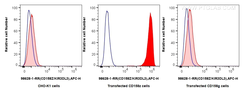 1x10^6 Transfected CHO-K1 or Transfected CD158z or Transfected CD158g were surface stained with 0.25 ug Anti-Human CD158Z/KIR3DL3 Rabbit RecAb (98628-1-RR, Clone:250254F12) (red), or Rabbit IgG Isotype Control RecAb (98136-1-RR, Clone: 240953C9) (blue) and APC-Conjugated Goat Anti-Rabbit IgG(H+L). Cells were fixed and permeabilized with Intracellular Flow Cytometry Fixation & Permeabilization Buffer Kit (PF00019). Flow cytometry (FC) experiment of Transfected CHO-K1 using Anti-Human CD158Z/KIR3DL3 Rabbit Recombinant Antib (98628-1-RR)