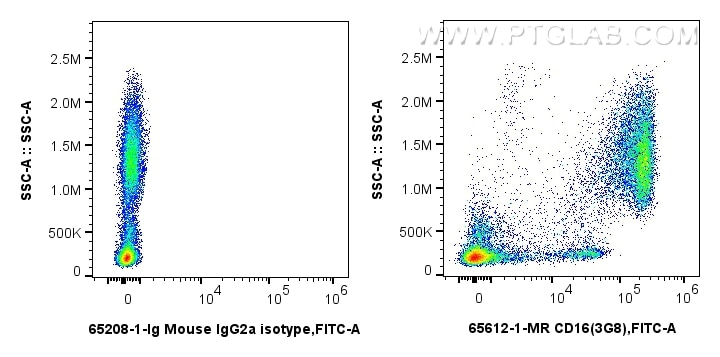 Flow cytometry (FC) experiment of human peripheral blood leukocyte using Anti-Human CD16 (3G8) Mouse IgG2a Recombinant Anti (65612-1-MR)
