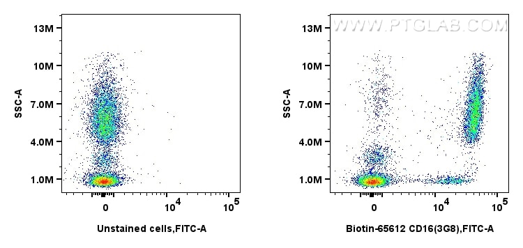 Flow cytometry (FC) experiment of human peripheral blood leukocytes using Biotin Anti-Human CD16 (3G8) Mouse IgG2a Recombina (Biotin-65612)