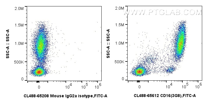 Flow cytometry (FC) experiment of human peripheral blood leukocytes using CoraLite® Plus 488 Anti-Human CD16 (3G8) Mouse IgG (CL488-65612)