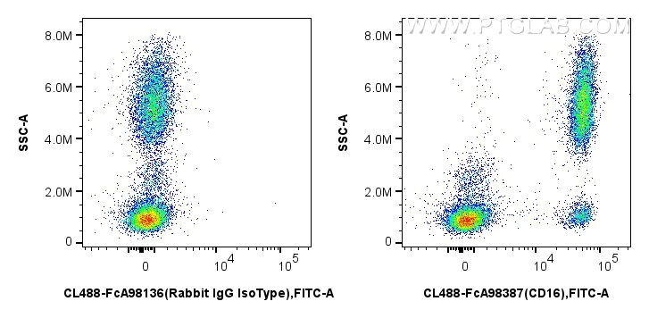 Flow cytometry (FC) experiment of human peripheral blood leukocytes using FcZero-rAb® CoraLite® Plus 488 Anti-Human CD16 Rab (CL488-FcA98387)