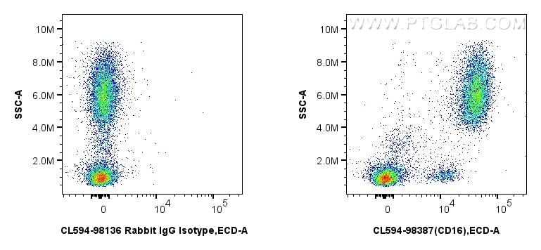 1x10^6 human peripheral blood leukocytes were surface stained with 5 ul CoraLite®594 Anti-Human CD16 Rabbit RecAb (CL594-98387, Clone: 242426C2) or CoraLite®594 Rabbit IgG Isotype Control RecAb (CL594-98136, Clone: 240953C9). Cells were incubated with FC Receptor Block prior to staining. Cells were not fixed. Flow cytometry (FC) experiment of human peripheral blood leukocytes using CoraLite®594 Anti-Human CD16 Rabbit Recombinant An (CL594-98387)