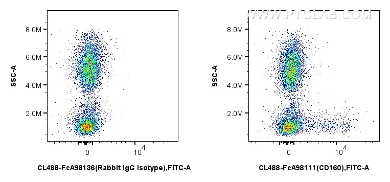 Flow cytometry (FC) experiment of human peripheral blood leukocyte using FcZero-rAb™ CoraLite® Plus 488 Anti-Human CD160 Ra (CL488-FcA98111)