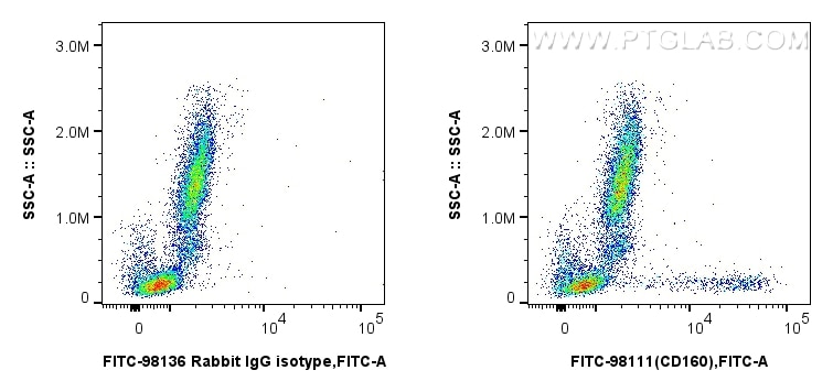 Flow cytometry (FC) experiment of human peripheral blood leukocytes using FITC Plus Anti-Human CD160 Rabbit Recombinant Anti (FITC-98111)