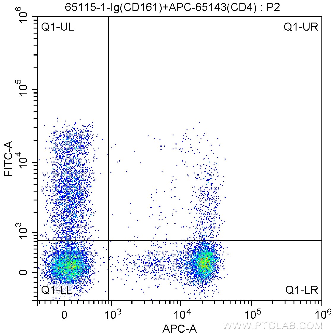 FC experiment of human peripheral blood lymphocytes using 65115-1-Ig