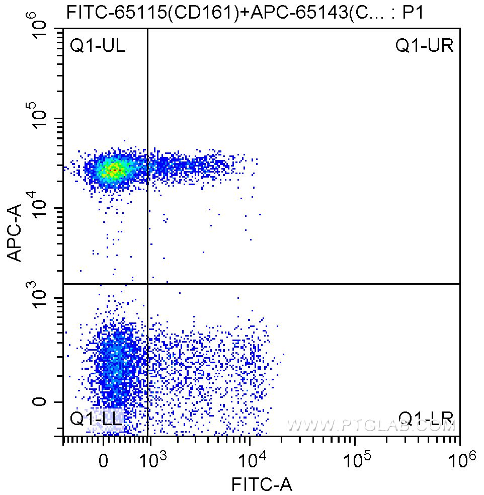 Flow cytometry (FC) experiment of human peripheral blood lymphocytes using FITC Anti-Human CD161 (HP-3G10) (FITC-65115)