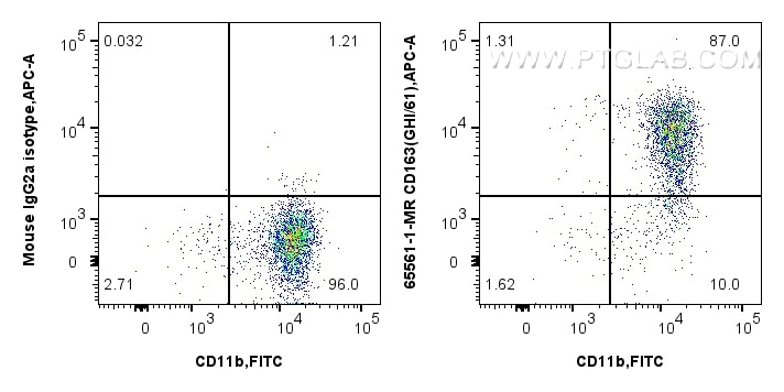 CD163