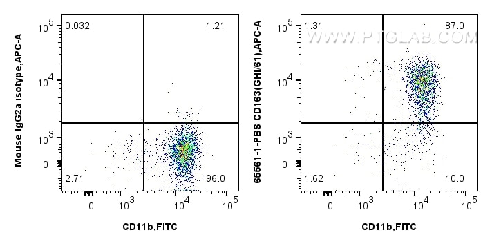 CD163