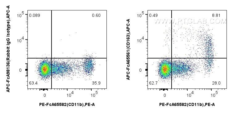CD163