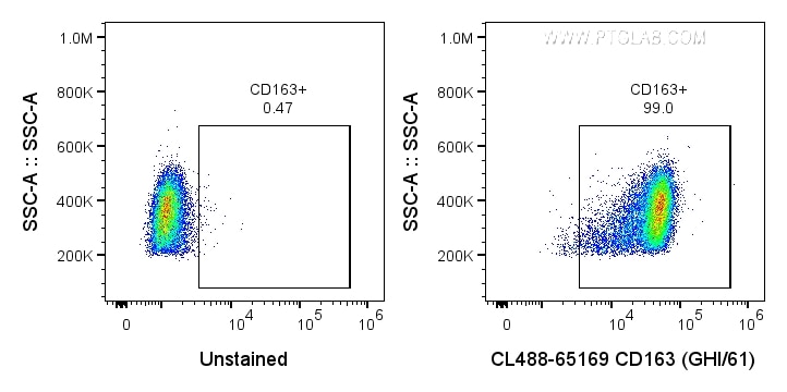 FC experiment of human PBMCs using CL488-65169