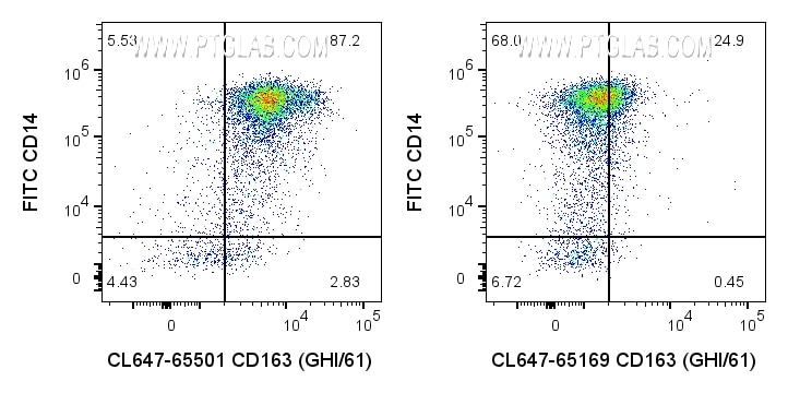 CD163 