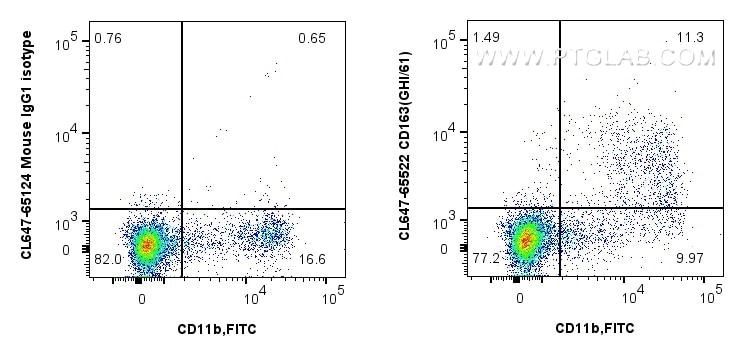 CD163