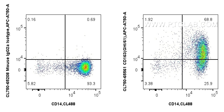 1x10^6 human PBMCs were surface stained with CoraLite® Plus 488 Anti-Human CD14, and 5 ul CoraLite® Plus 750 Anti-Human CD163 (GHI/61) Mouse IgG2a RecAb (CL750-65561, Clone: GHI/61) or CoraLite® Plus 750 Mouse IgG2a Isotype Control (C1.18.4) (CL750-65208, Clone: C1.18.4). Cells were incubated with FC Receptor Block prior to staining. Cells were not fixed. Monocytes were gated. Flow cytometry (FC) experiment of human PBMCs using CoraLite® Plus 750 Anti-Human CD163 (GHI/61) Mouse (CL750-65561)