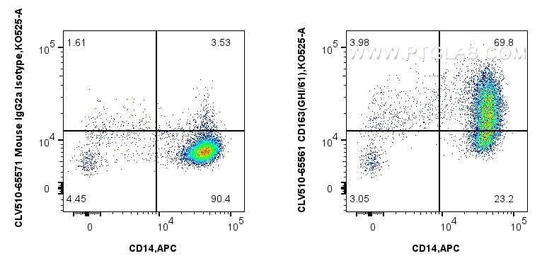 1x10^6 human PBMCs were surface stained with APC Anti-Human CD14, and 5 ul CoraLux Violet 510 Anti-Human CD163 (GHI/61) Mouse IgG2a RecAb (CLV510-65561, Clone: GHI/61) or CoraLux Violet 510 Rabbit IgG Isotype Control Recombinant Antibody (CLV510-98136, Clone: 240953C9). Cells were incubated with FC Receptor Block prior to staining. Cells were not fixed. Monocytes were gated. Flow cytometry (FC) experiment of human PBMCs using CoraLux Violet 510 Anti-Human CD163 (GHI/61) Mouse (CLV510-65561)
