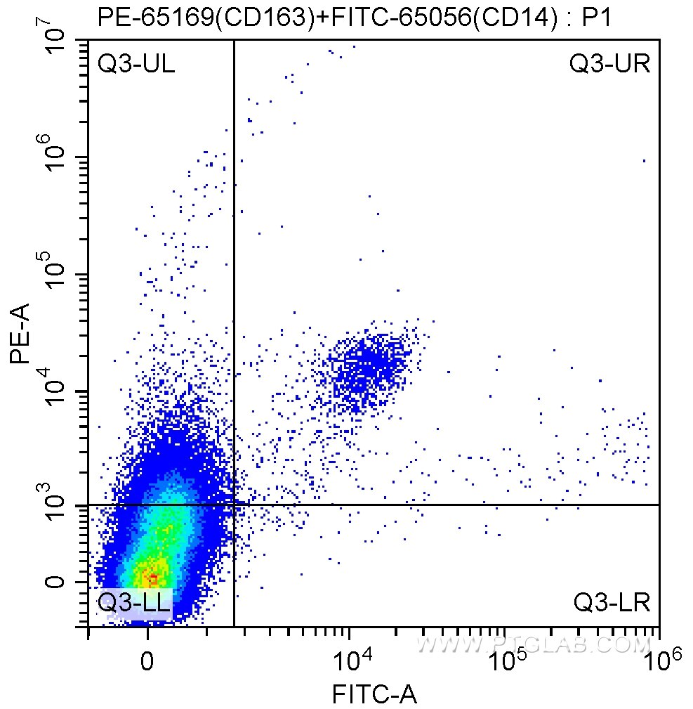 Flow cytometry (FC) experiment of human peripheral blood monocytes using PE Anti-Human CD163 (GHI/61) (PE-65169)