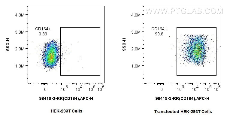 1x10^6 HEK-293T cells or CD164 transfected HEK-293T cells were surface stained with 0.25 ug Anti-Mouse CD164 Rabbit RecAb (98419-3-RR, Clone:242986C2) and Multi-rAb CoraLite ® Plus 647-Goat Anti-Rabbit Recombinant Secondary Antibody (H+L) (RGAR005). Cells were not fixed. Flow cytometry (FC) experiment of Transfected HEK-293T cells using Anti-Mouse CD164 Rabbit Recombinant Antibody (98419-3-RR)
