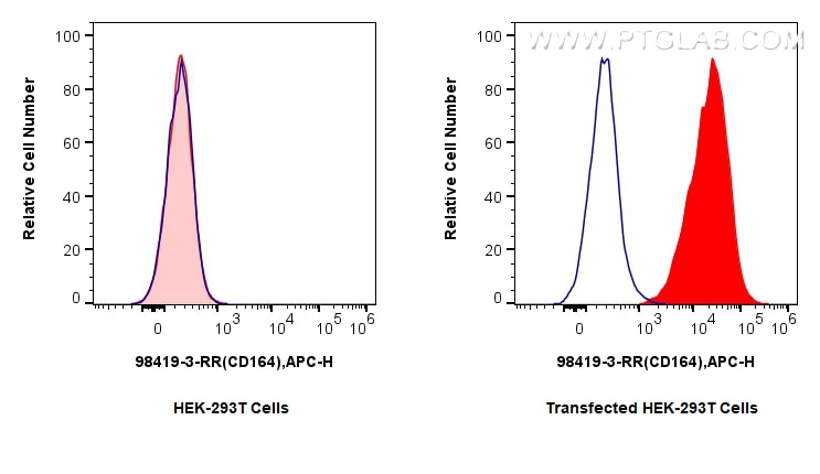 1x10^6 HEK-293T cells or CD164-transfected HEK-293T cells were surface stained with 0.25 ug Anti-Mouse CD164 Rabbit RecAb (98419-3-RR, Clone: 242986C2) (red) or 0.25 ug Rabbit IgG Isotype Control RecAb (98136-1-RR, Clone: 240953C9) (blue), and Multi-rAb CoraLite ® Plus 647-Goat Anti-Rabbit Recombinant Secondary Antibody (H+L) (RGAR005). Cells were not fixed. Flow cytometry (FC) experiment of Transfected HEK-293T cells using Anti-Mouse CD164 Rabbit Recombinant Antibody (98419-3-RR)